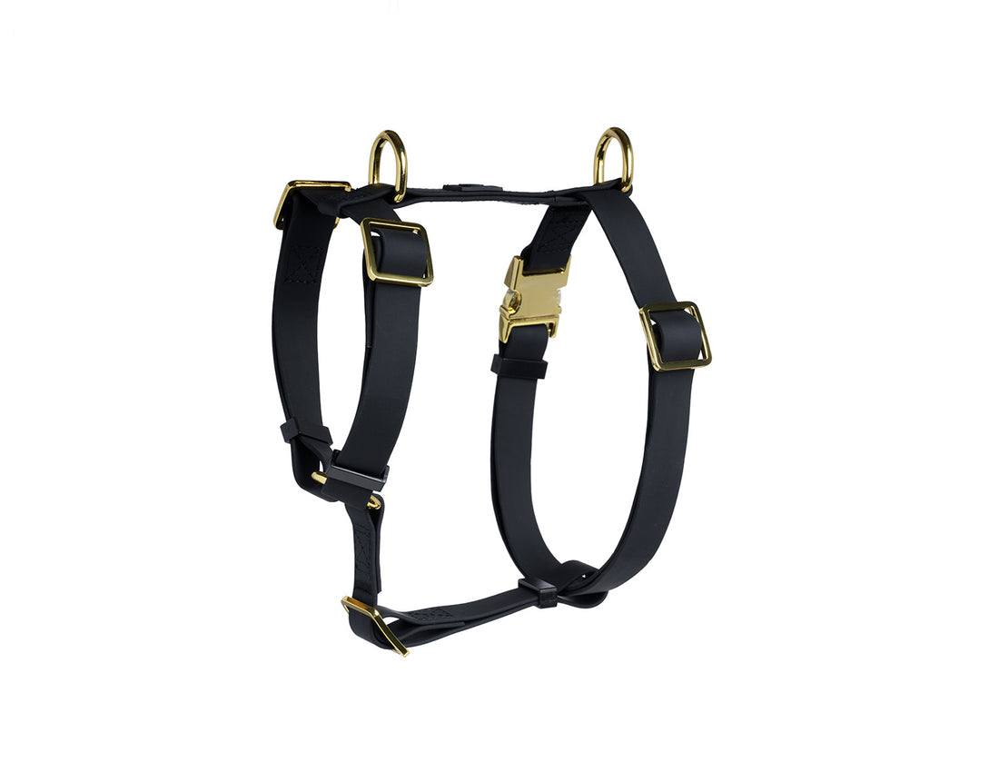 Black Waterproof Dog Harness