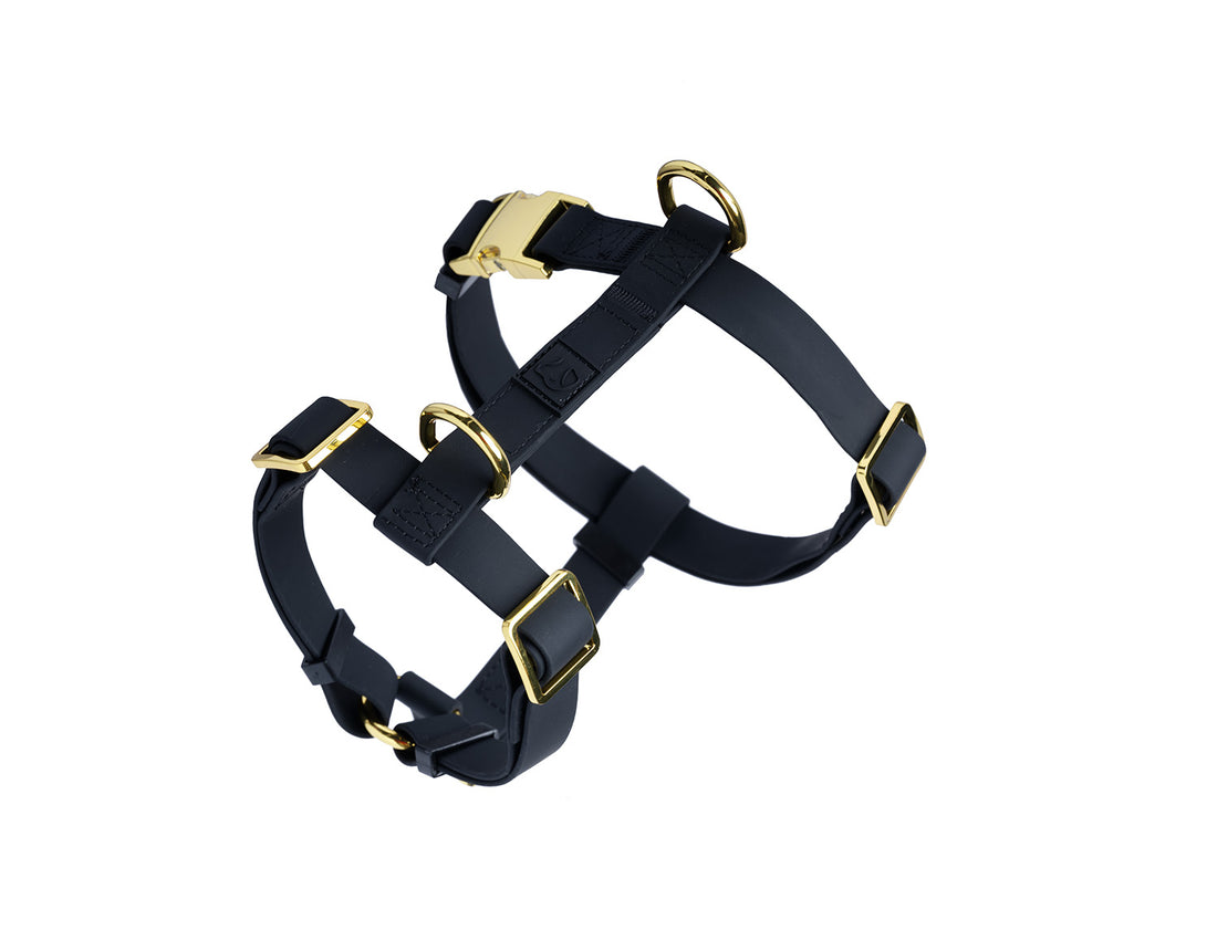 Waterproof Black Dog Harness