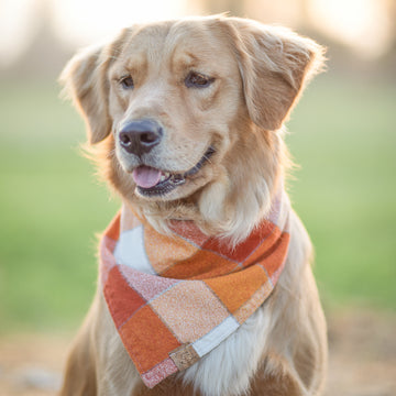 Pumpkin Spice Flannel Bandana