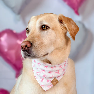 Pretty in Pink Bandana