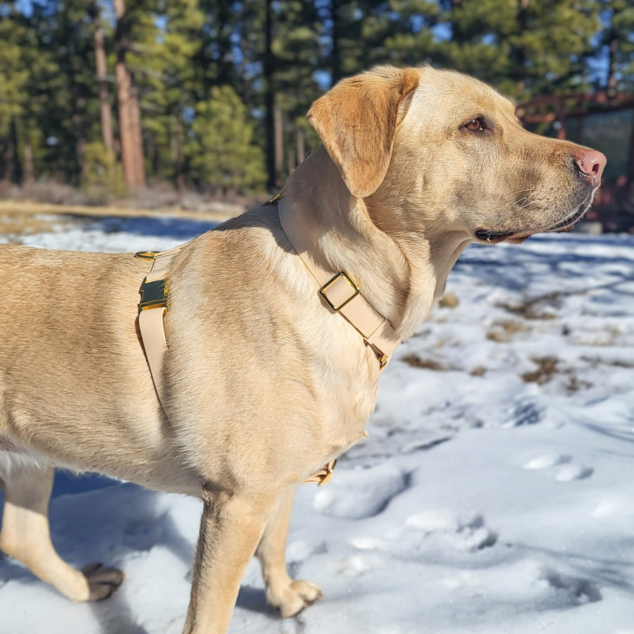 Beige Waterproof Dog Harness