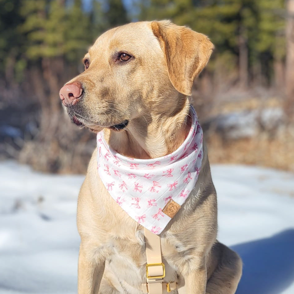 Pretty in Pink Bandana