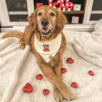 Teddy Bear Waffle Bandana