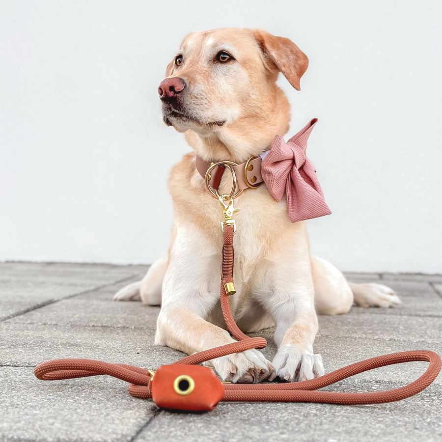 Brown Rope Dog Leash