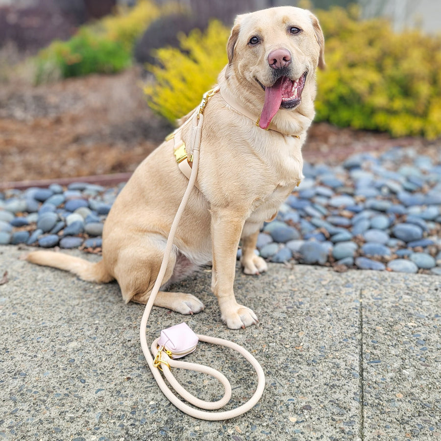 Beige Rope Dog Leash