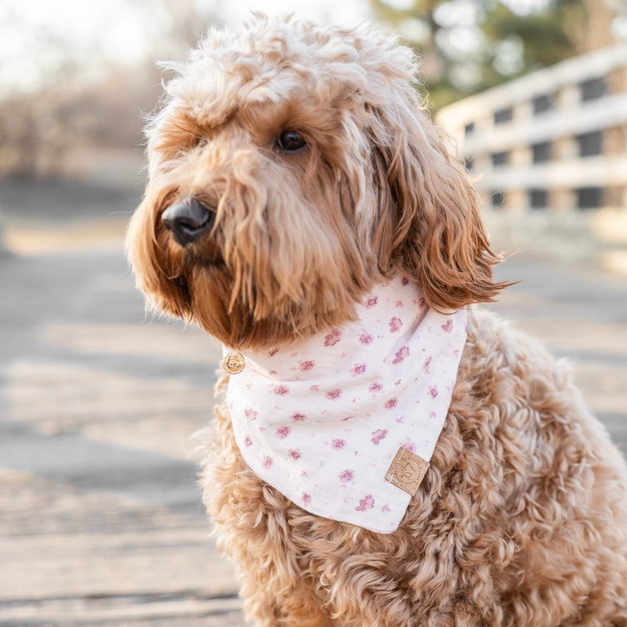 Blush Bloom Bandana