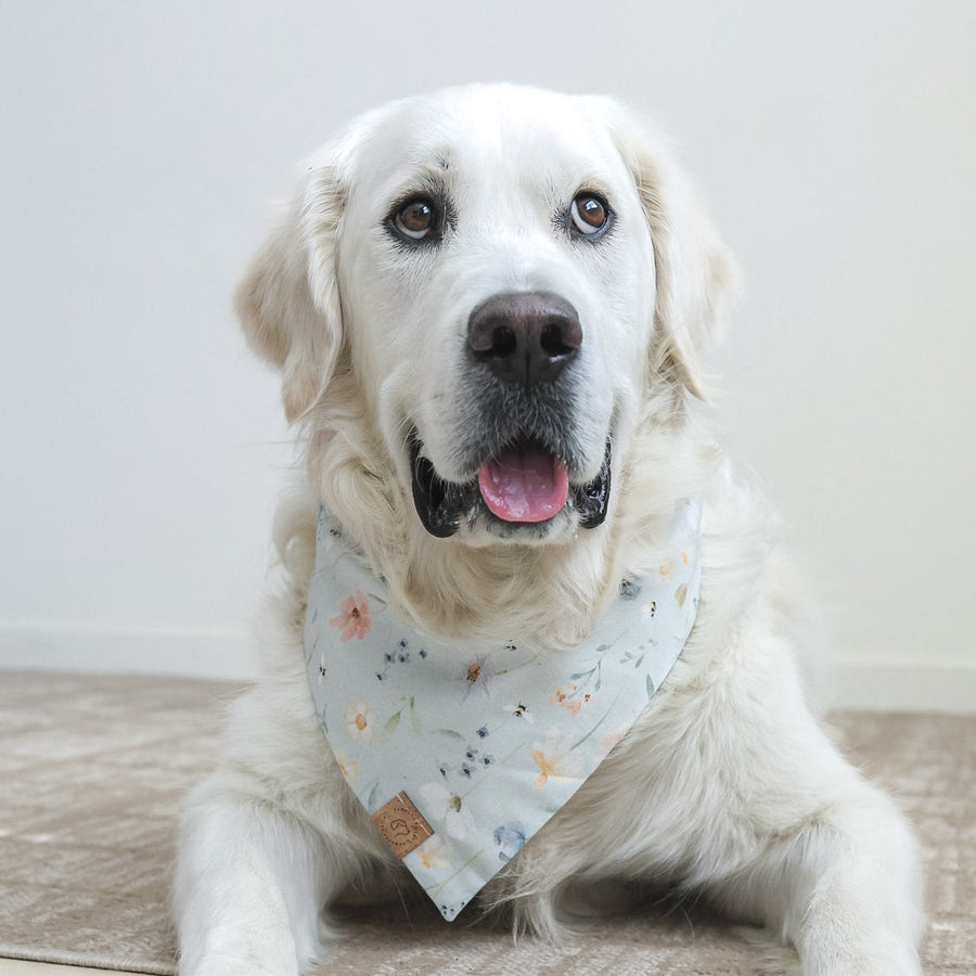 Meadow Breeze Bandana