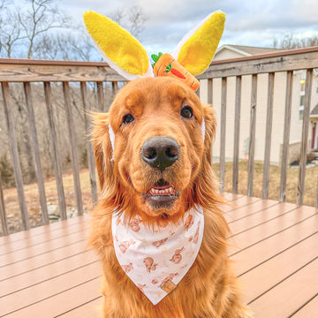 Bunny Hop Bandana