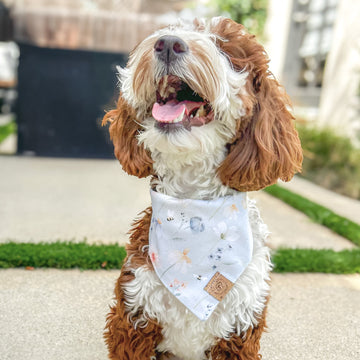 Meadow Breeze Bandana