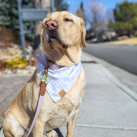 Bluebell Gingham Bandana