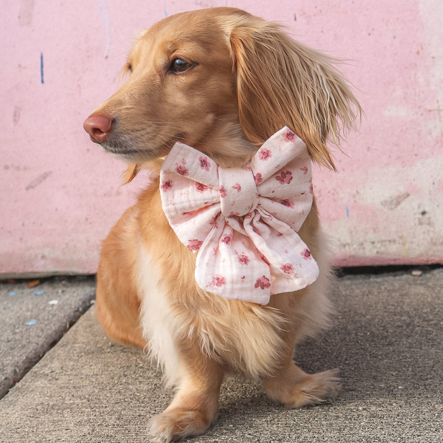 Blush Bloom Sailor Bow