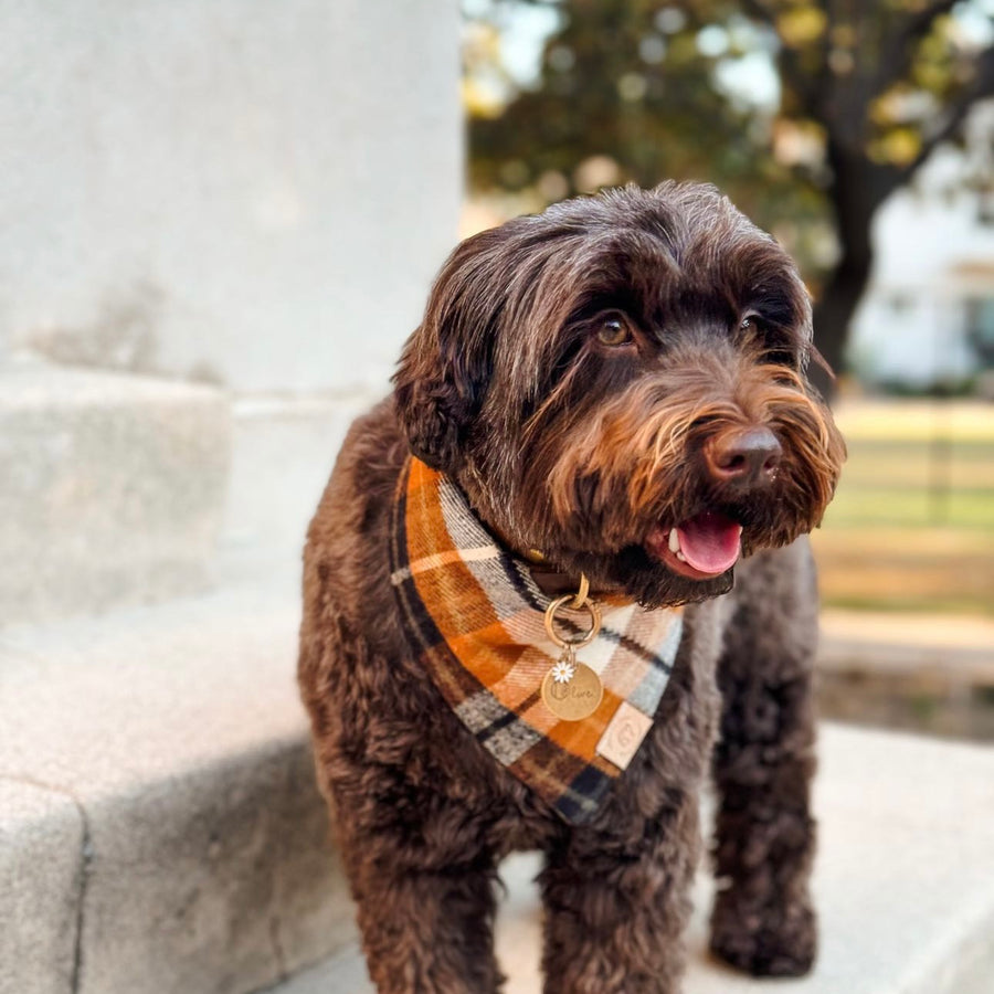 Warm Walnut Flannel Bandana