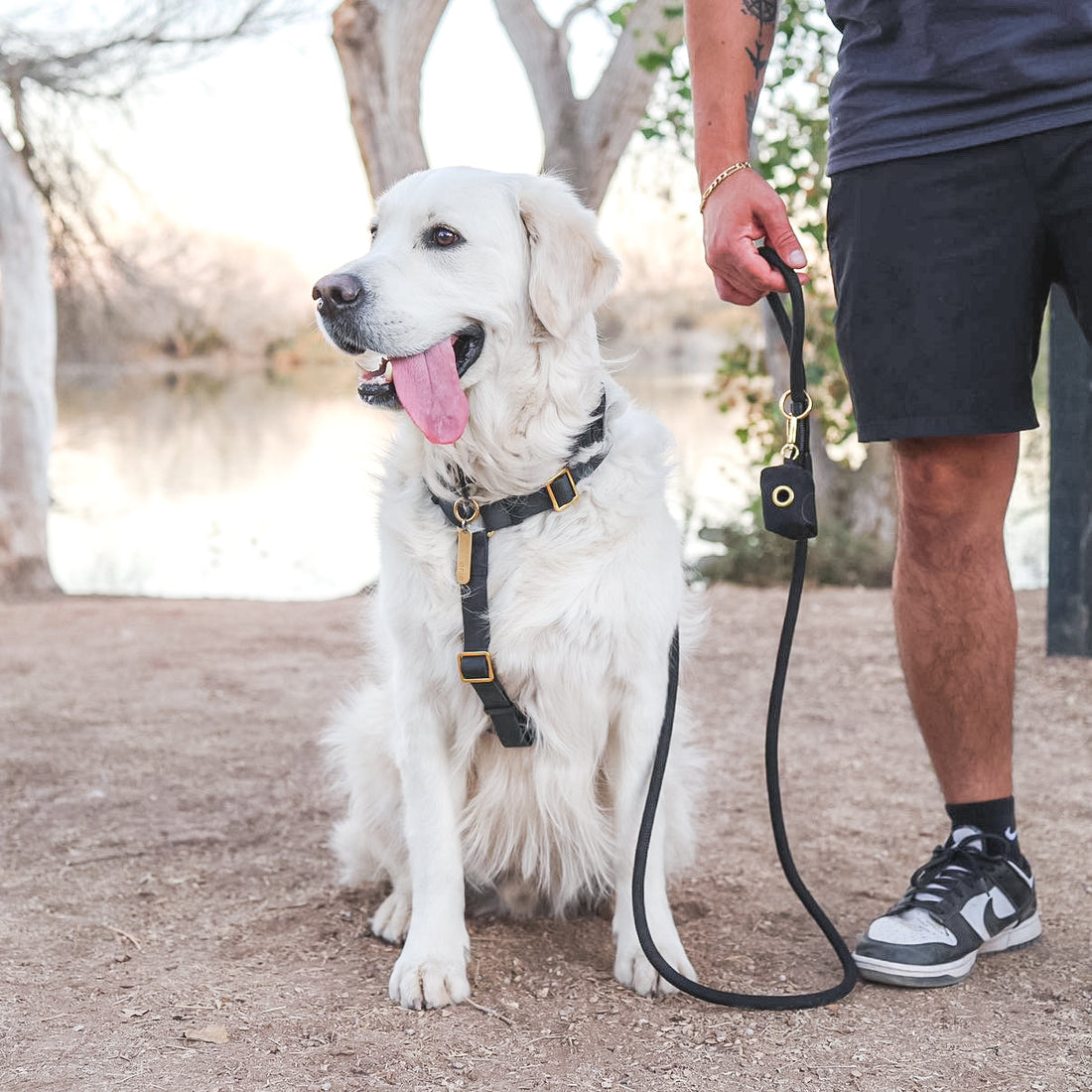 Black Rope Dog Leash