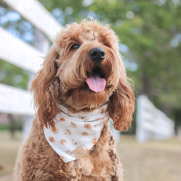 Autumn Bloom Bandana