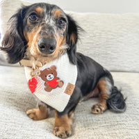 Teddy Bear Waffle Bandana