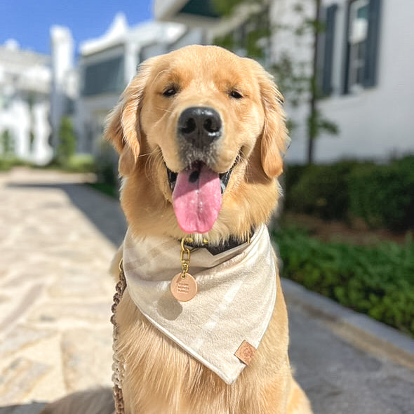 Chai Latte Flannel Bandana