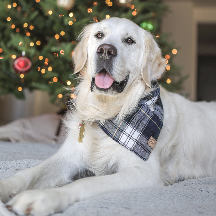 Midnight Evergreen Flannel Bandana