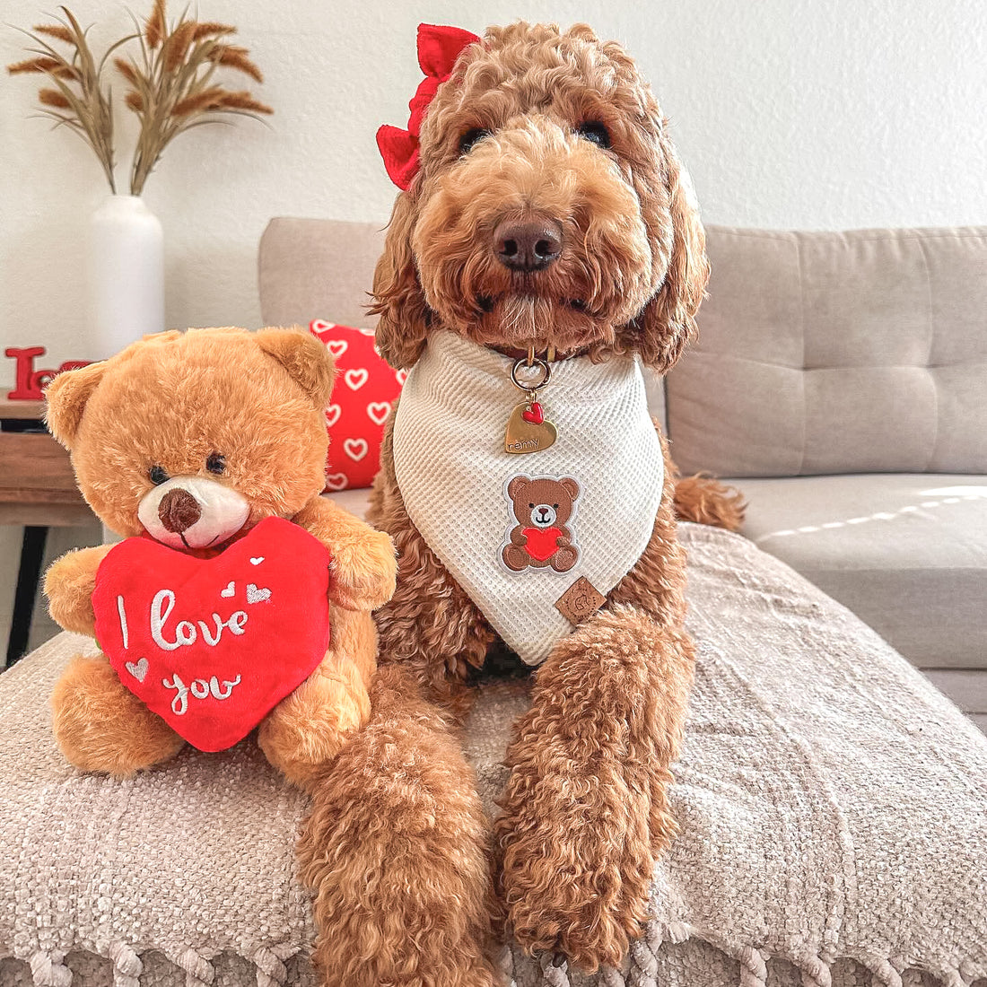 Teddy Bear Waffle Bandana