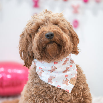 Bear in the Air Bandana