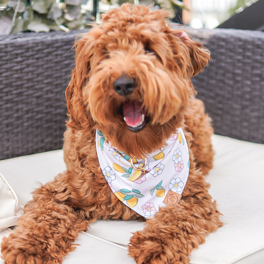 Quick Dry Lemon Floral Bandana