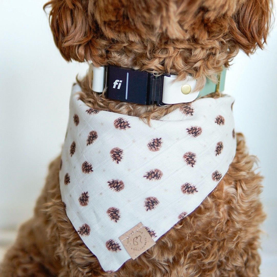 Pine Cones Bandana