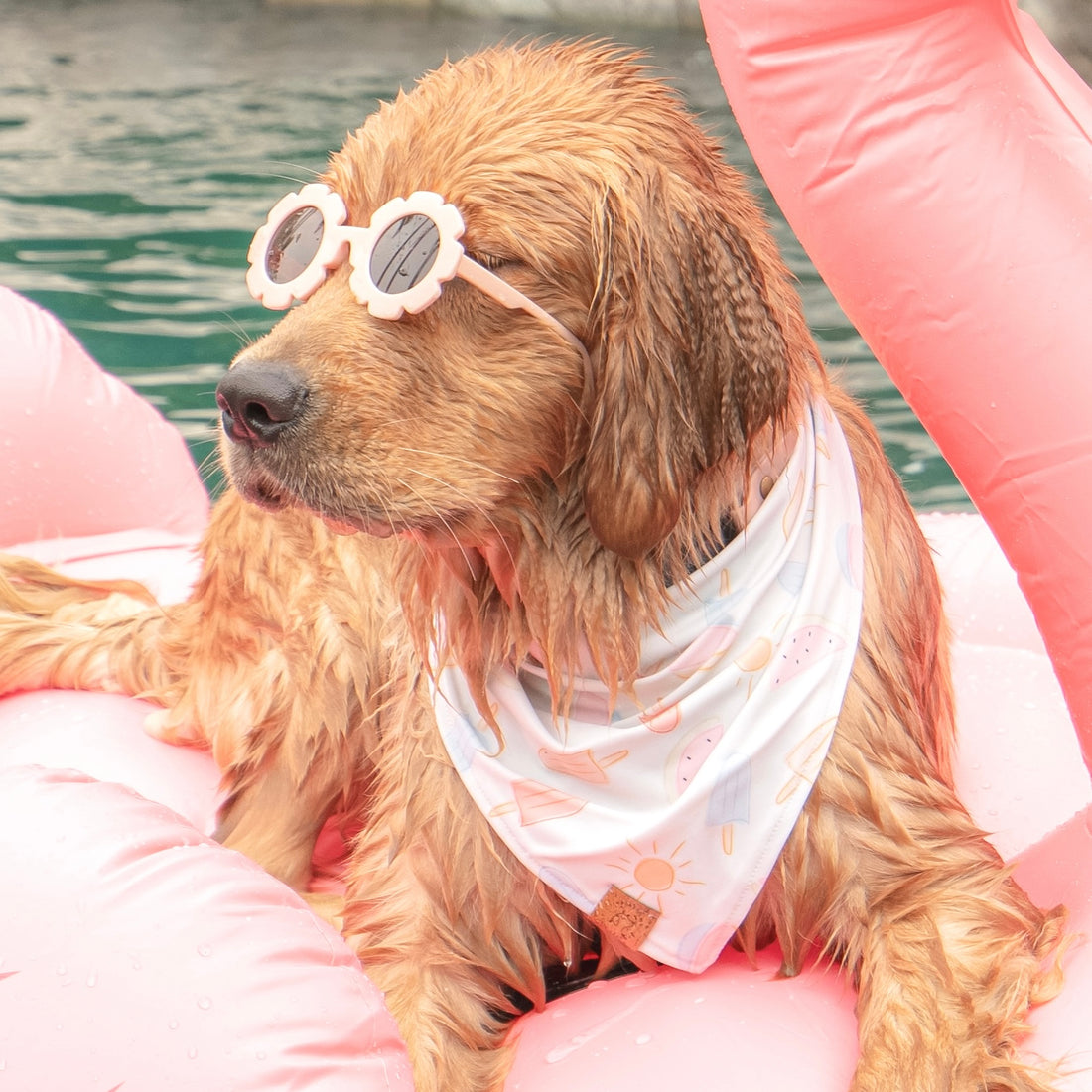 Quick Dry Summertime Bandana