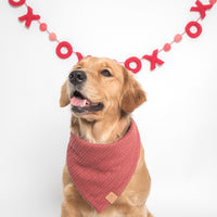 LoveWrap Sweater Bandana