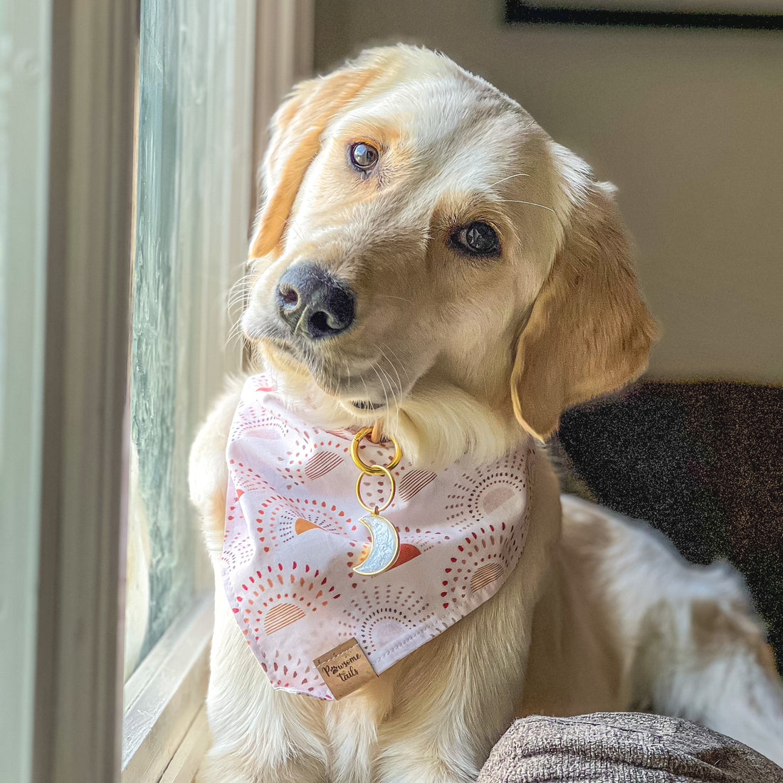 Desert Sunset Bandana