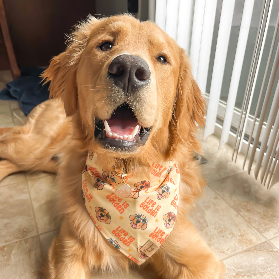 Life Is Golden Bandana