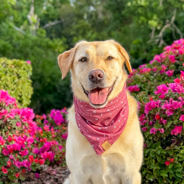 Floral Garden Bandana