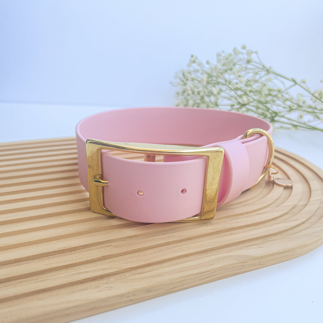 1.5" Waterproof Classic Buckle Dog Collar