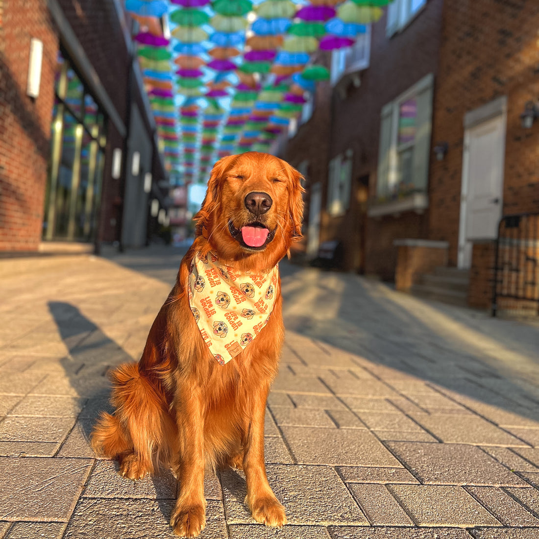 Life Is Golden Bandana