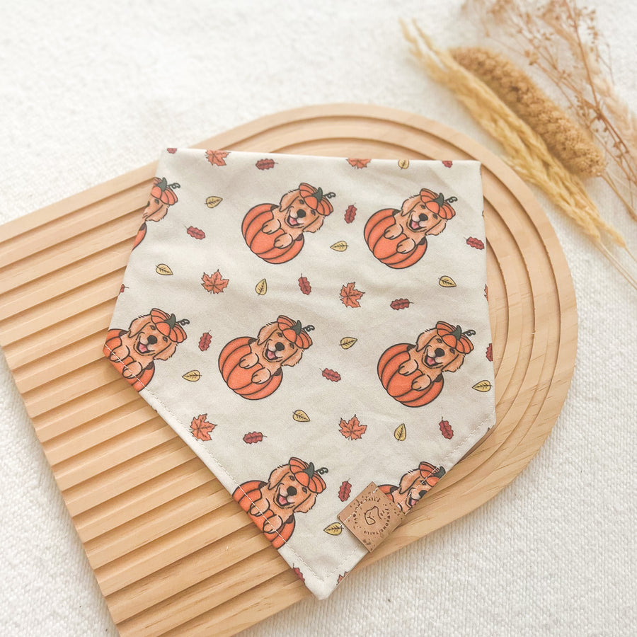 Golden Pumpkin Patch Bandana