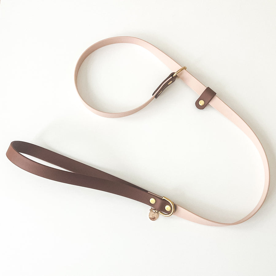 Two-Tone Waterproof Slip Dog Leash