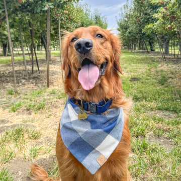 Cozy Coast Flannel Bandana