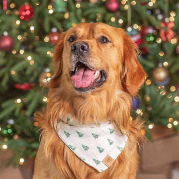 Christmas Tree Bandana