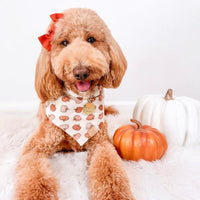 Boho Pumpkins Bandana