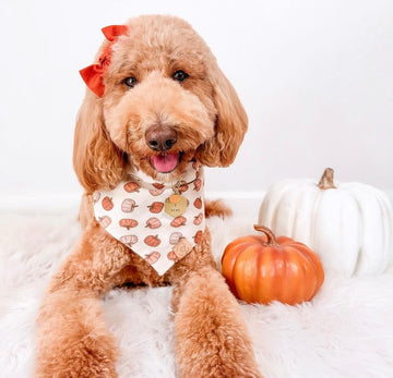 Boho Pumpkins Bandana