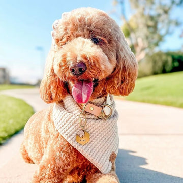 Sweater Knit Bandana