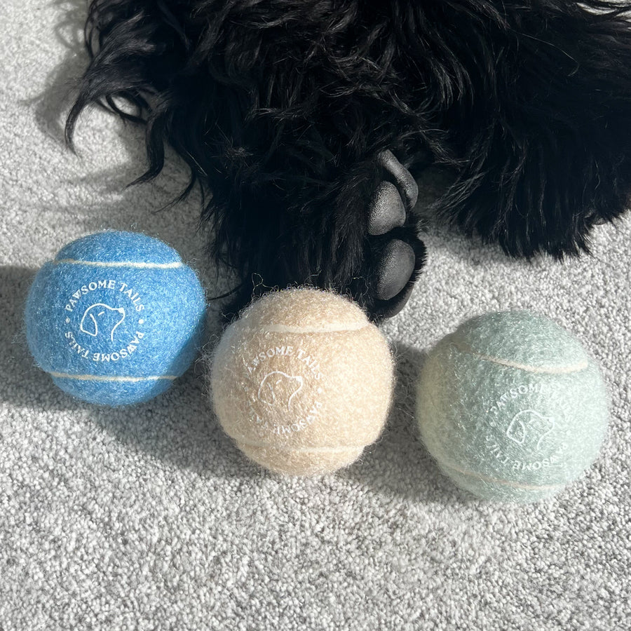 Pawsome Tails Tennis Ball Bundle (Set of 3)