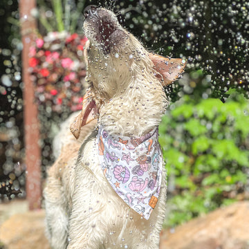 Quick Dry Under The Sea Bandana