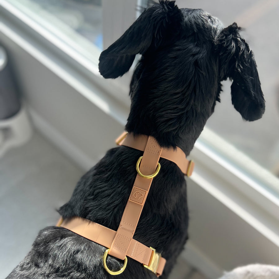 Brown Waterproof Dog Harness