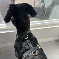 Black Waterproof Dog Harness