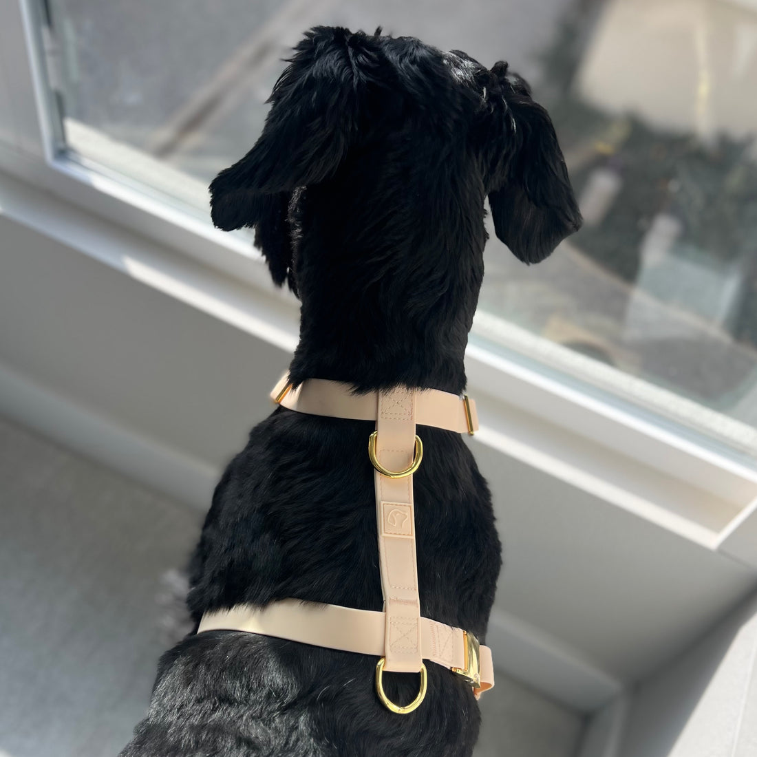 Beige Waterproof Dog Harness