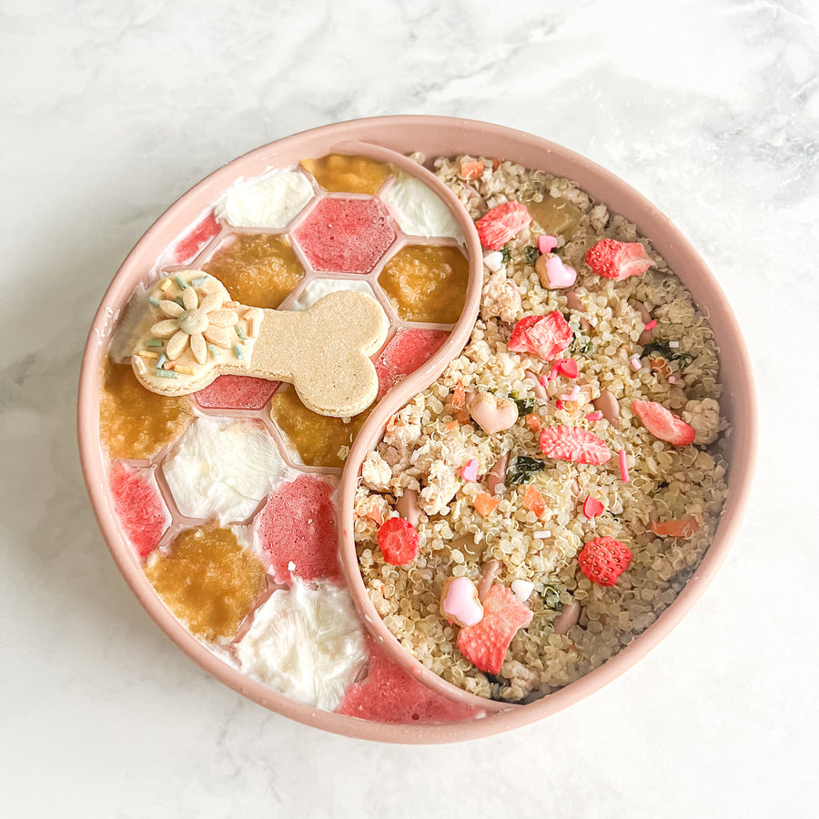 Honeycomb Slow Feeder Bowl