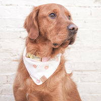 Peachy Dreams Bandana