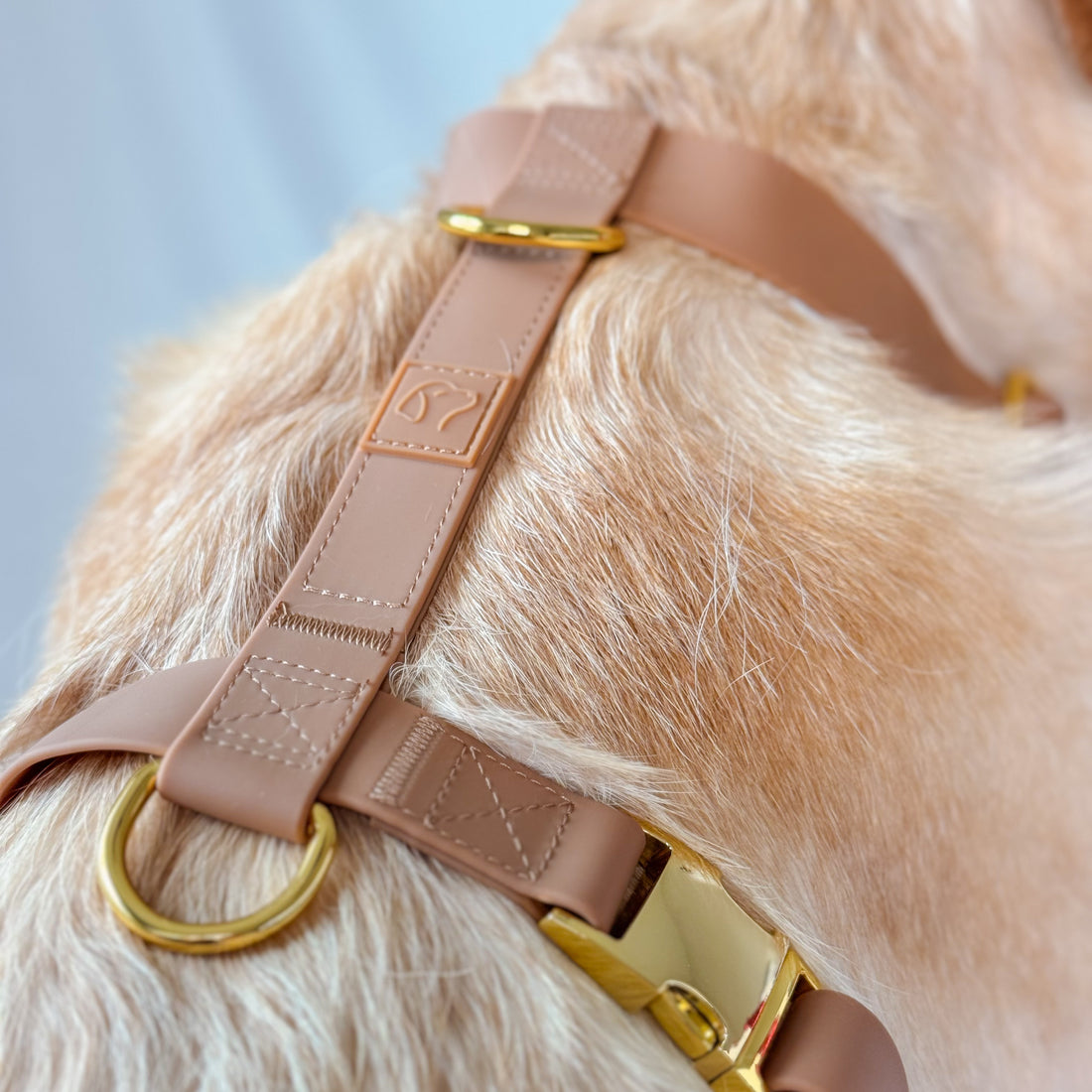 Brown Waterproof Dog Harness