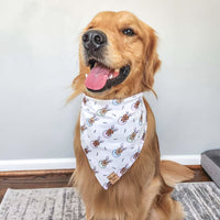 Eggstra Golden Bandana