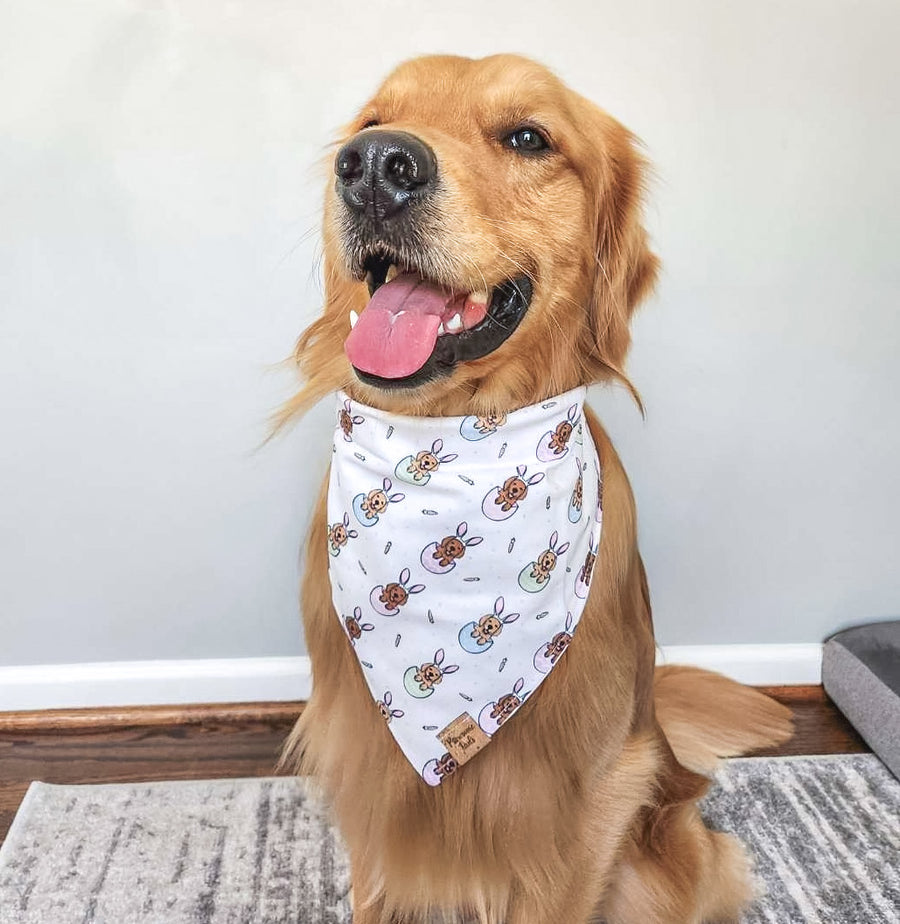 Eggstra Golden Bandana