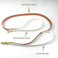 Two-Tone Waterproof Dog Leash